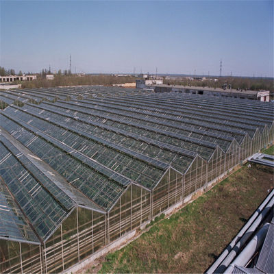 Agricultural Vegetable Tunnel Multi-Span Venlo Glass/Greenhouse for Farming Agricultur/Vegetables/Flowers/Tomato