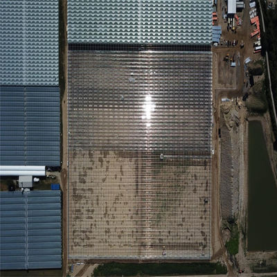 Agricultural Vegetable Tunnel Multi-Span Venlo Glass/Greenhouse for Farming Agricultur/Vegetables/Flowers/Tomato