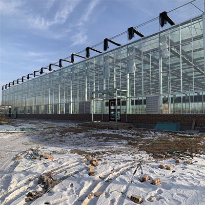 Agricultural Vegetable Tunnel Multi-Span Venlo Glass/Greenhouse for Farming Agricultur/Vegetables/Flowers/Tomato