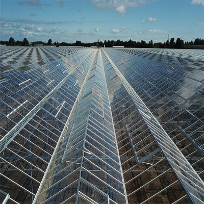 Agricultural Vegetable Tunnel Multi-Span Venlo Glass/Greenhouse for Farming Agricultur/Vegetables/Flowers/Tomato