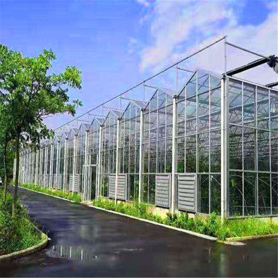 Optimal Ventilation in Venlo Type Greenhouse for Hydroponics/Strawberry/Vegetables