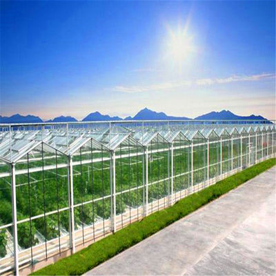 Optimal Ventilation in Venlo Type Greenhouse for Hydroponics/Strawberry/Vegetables