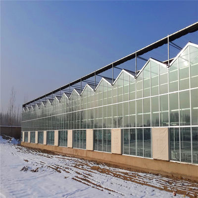 Optimal Ventilation in Venlo Type Greenhouse for Hydroponics/Strawberry/Vegetables