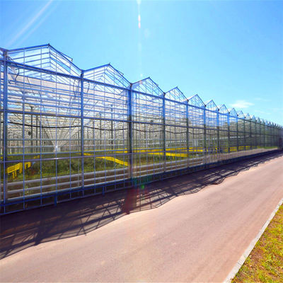 Optimal Ventilation in Venlo Type Greenhouse for Hydroponics/Strawberry/Vegetables