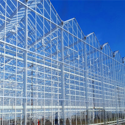 Large Glass Greenhouse with Soilless Culture and Automatic Hydroponic Drip Irrigation