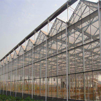 Large Glass Greenhouse with Soilless Culture and Automatic Hydroponic Drip Irrigation