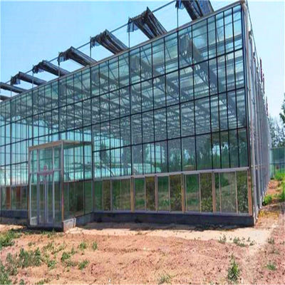 Large Glass Greenhouse with Soilless Culture and Automatic Hydroponic Drip Irrigation