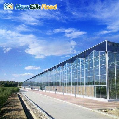 Tempered Glass Multi-span Agricultural Greenhouse for Vegetable and Flower Planting