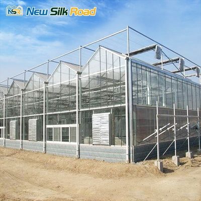 Hydroponic Agriculture Large Venlo Glass Greenhouse Kits with Galvanized Steel Frame