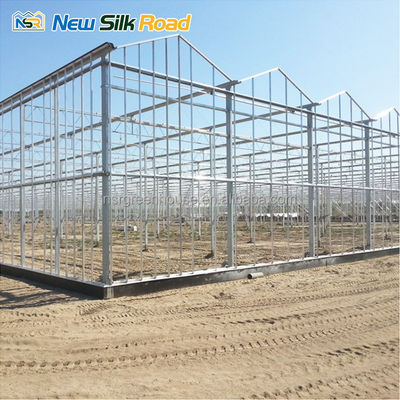 6m/6.2m/6.4m/8m/9.6m/10.8m/12m Large Multi-Span Agricultural Greenhouse for Plant Usage