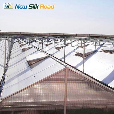 6m/6.2m/6.4m/8m/9.6m/10.8m/12m Large Multi-Span Agricultural Greenhouse for Plant Usage