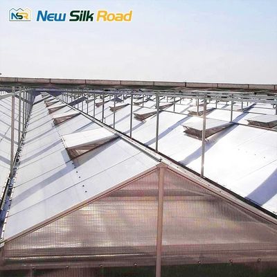 Customized Span Width Venlo Type Polycarbonate Greenhouse with Galvanized Steel Frame