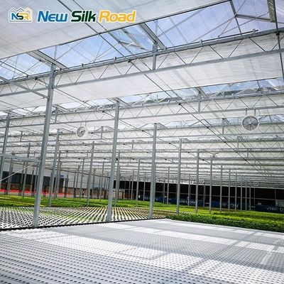 Customized Span Width Venlo Type Polycarbonate Greenhouse with Galvanized Steel Frame