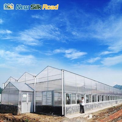 polycarbonate sheets uv roofing plastic corrugated sheet polycarbonate multi-span greenhouses for agro