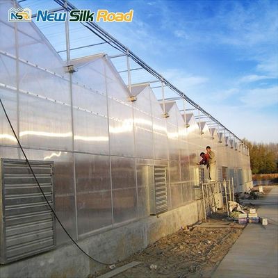 polycarbonate stegplatten sunroom green house multi wall polycarbonate sheet venlo greenhouse for agro