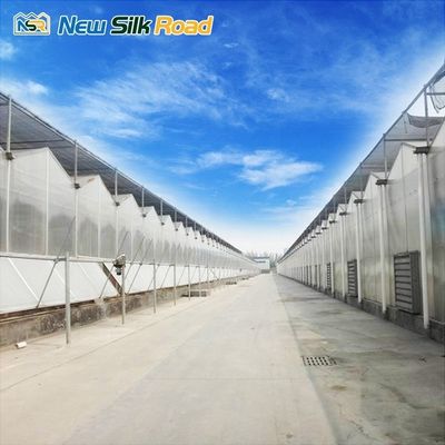 greenhouses  polycarbonate greenhouse  garden greenhouse solid polycarbonate roof sheet aluminium sunrooms for agro