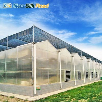 commercial garden greenhouses polycarbonate sheet price greenhouse structure galvanized steel hollow polycarbonate sheet for ag