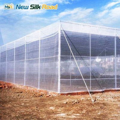 Large/Small Sizes HDPE Agricultural Insect Net Greenhouse with Galvanized Steel Frame