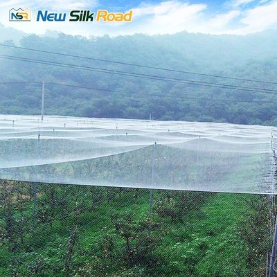 Large/Small Sizes HDPE Agricultural Insect Net Greenhouse with Galvanized Steel Frame