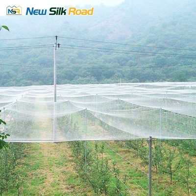 Large/Small Sizes HDPE Agricultural Insect Net Greenhouse with Galvanized Steel Frame
