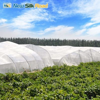 Large/Small Sizes HDPE Agricultural Insect Net Greenhouse with Galvanized Steel Frame