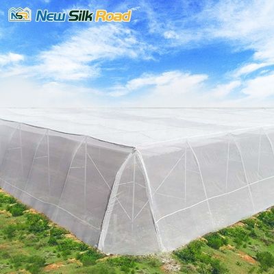 Length 10-100m/Customized Insect Net Greenhouse for Africa Countries NSR Greenhouse