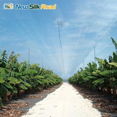 NSR Greenhouse Cheap HDPE Agricultural Net Greenhouse For Sale