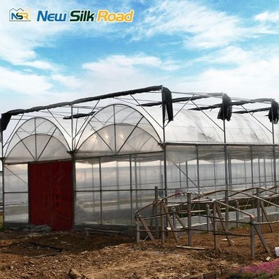 Galvanized Steel Double-Layer Greenhouse for Hydroponic Winter Agriculture Solution