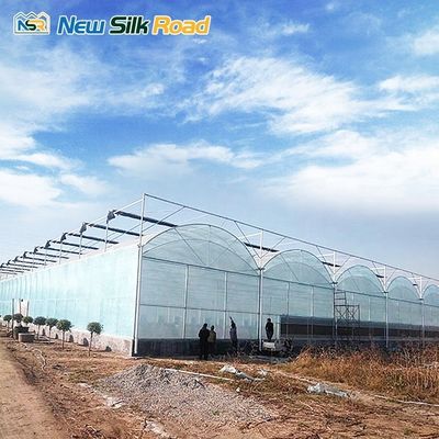 Large PO/PE Plastic Double Arch Greenhouse Galvanized Steel Frame for Plants and Agriculture for Sale