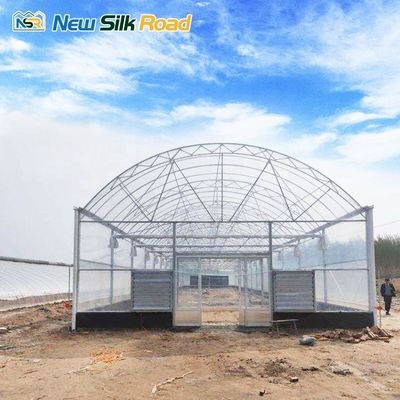 Economic Large Double Layer Agricultural Greenhouse with Galvanized Steel Frame Poly Tunnel Greenhouse for Plants Low Cost