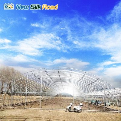 PE Plastic Film Covered Galvanized Steel Frame Greenhouse for Small to Large Square
