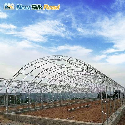 PE Plastic Film Covered Galvanized Steel Frame Greenhouse for Small to Large Square