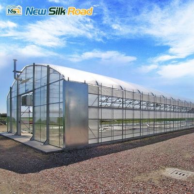 Galvanized Steel Frame Single-Span Agricultural Greenhouse with PE/Poly Film Cover