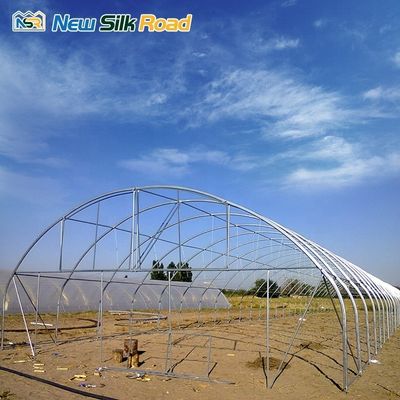 Galvanized Steel Frame Single-Span Agricultural Greenhouse with PE/Poly Film Cover