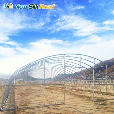 Galvanized Steel Frame Single-Span Agricultural Greenhouse with PE/Poly Film Cover