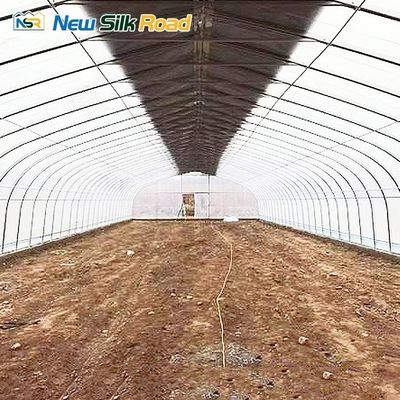 Galvanized Steel Frame Single-Span Agricultural Greenhouse with PE/Poly Film Cover
