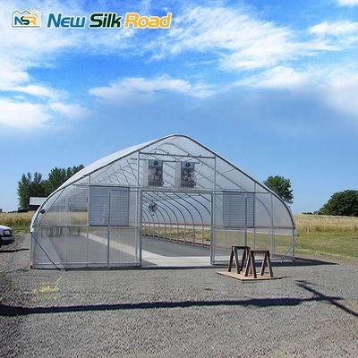 Customized Top Height Single-Layer Steel Greenhouse for Tomatoes Hydroponic Planting