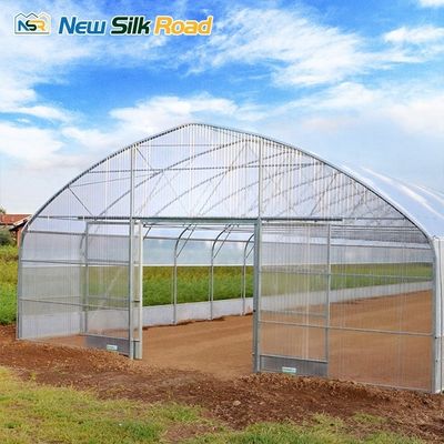 Customized Top Height Single-Layer Steel Greenhouse for Tomatoes Hydroponic Planting