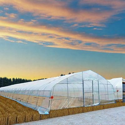 Small Size Agricultural Greenhouse with Single Span Design and Cheetah Green Film