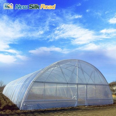 Small Size Agricultural Greenhouse with Single Span Design and Cheetah Green Film