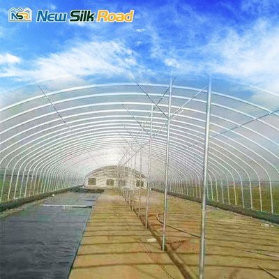 Small Size Agricultural Greenhouse with Single Span Design and Cheetah Green Film