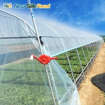 Small Size Agricultural Greenhouse with Single Span Design and Cheetah Green Film