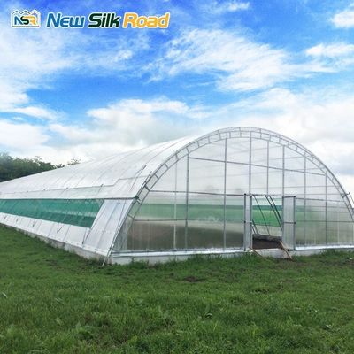 Small Size Agricultural Greenhouse with Single Span Design and Cheetah Green Film