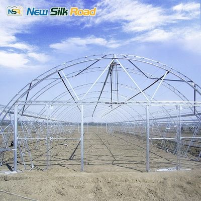 PE Plastic Film Covered Galvanized Steel Frame Greenhouse for Small to Large Square