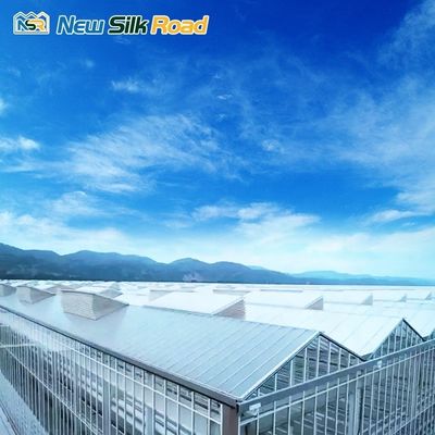 Top Height 4.5m-7.5m Glass Greenhouse Energy-saving Solution for Sunroom and Agro