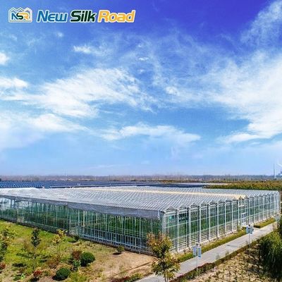 Top Height 4.5m-7.5m Glass Greenhouse Energy-saving Solution for Sunroom and Agro