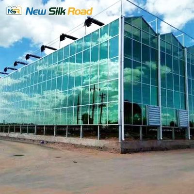 Top Height 4.5m-7.5m Glass Greenhouse Energy-saving Solution for Sunroom and Agro