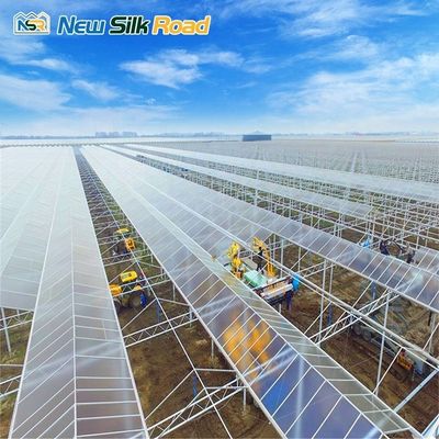 Top Height 4.5m-7.5m Glass Greenhouse Energy-saving Solution for Sunroom and Agro