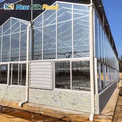 Top Height 4.5m-7.5m Glass Greenhouse Energy-saving Solution for Sunroom and Agro