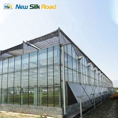 Customized Greenhouse for Agricultural Needs Cooling System and Ventilation Included